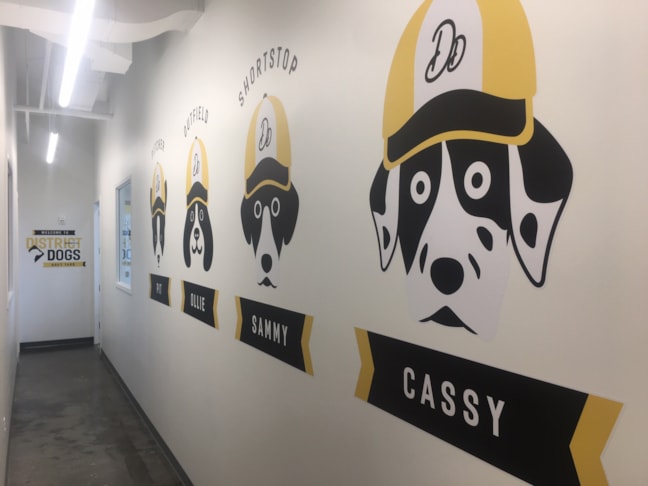 Wall Graphics & Murals